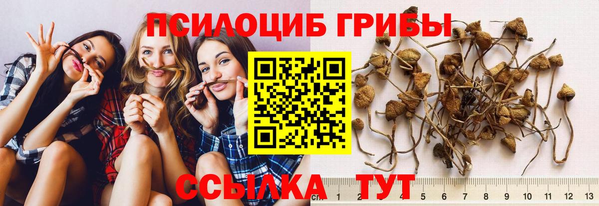 ГАШИШ Лесосибирск