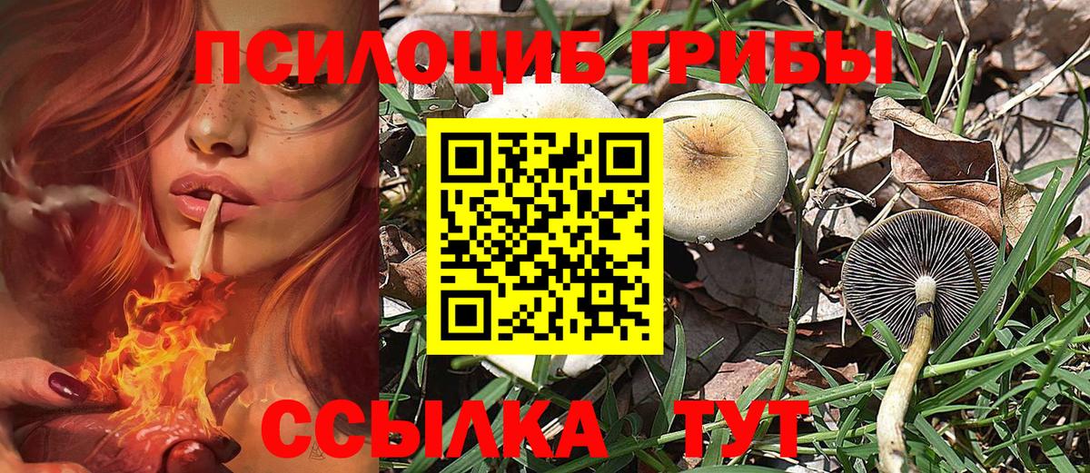 Галлюциногенные грибы прущие грибы Лесосибирск
