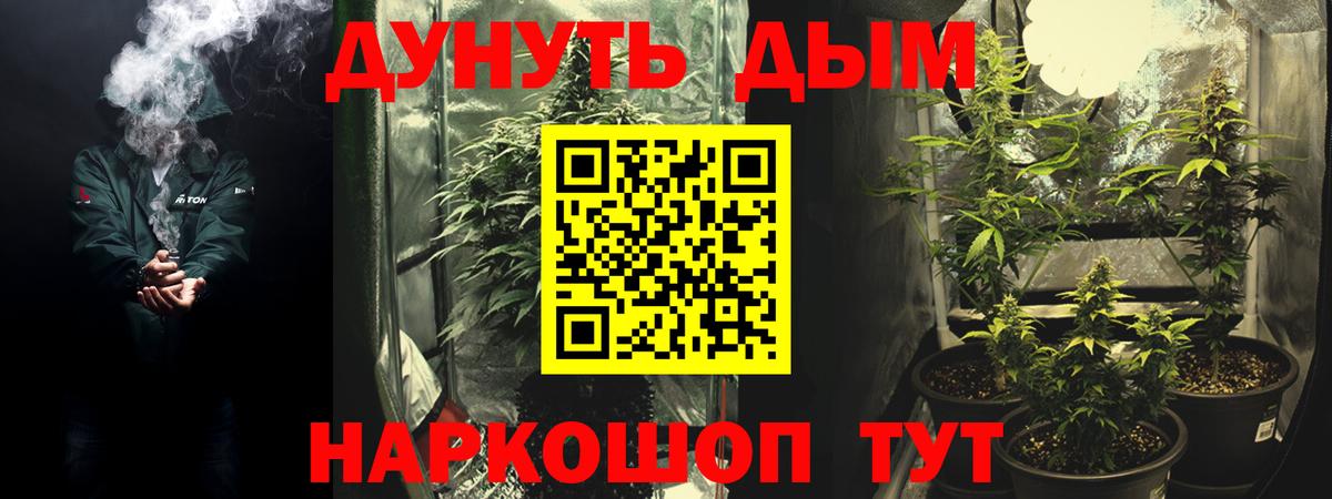 Шишки марихуана гибрид Лесосибирск